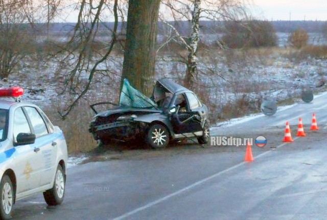 Пассажир «Рено» погиб в ДТП на автодороге «Советск &#8212; Гусев»