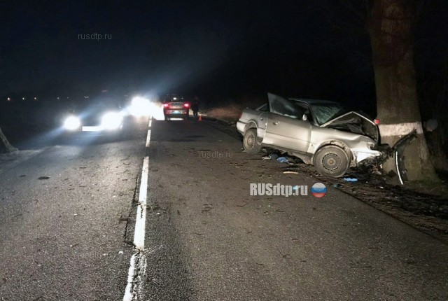 В Калининградской области «Audi» врезался в дерево. Водитель погиб