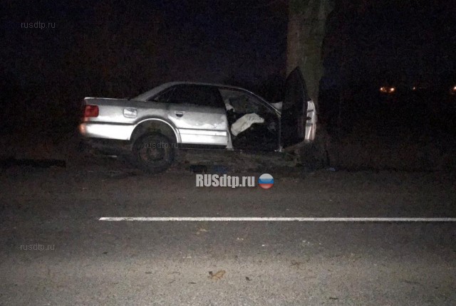 В Калининградской области «Audi» врезался в дерево. Водитель погиб