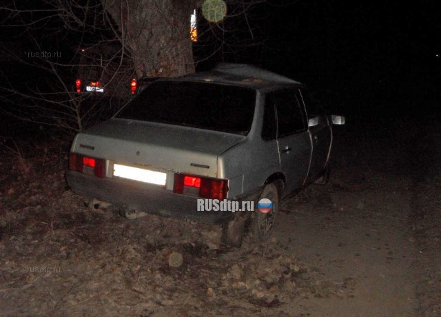 30-летний водитель автомобиля ВАЗ-21099 совершил наезд на дерево и погиб
