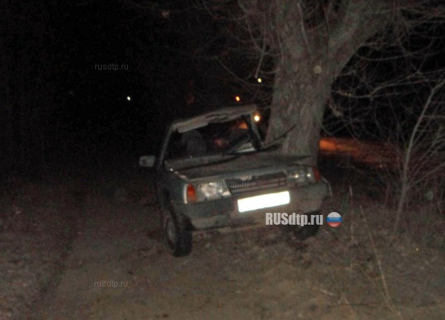 30-летний водитель автомобиля ВАЗ-21099 совершил наезд на дерево и погиб