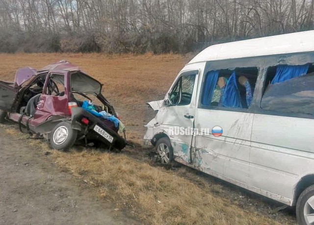 Под Новосибирском женщина на «Оке» врезалась в микроавтобус