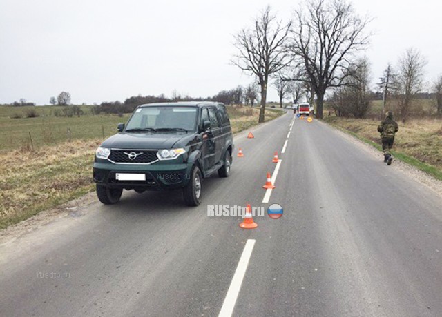 В Калининградской области «Mercedes» врезался в дерево. Водитель погиб