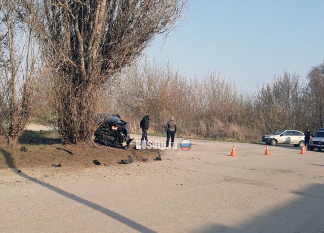 В Курской области водитель «Фольксвагена» погиб, врезавшись в дерево