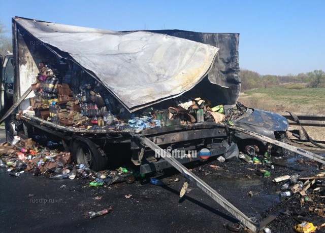 Девушка сгорела в автомобиле на трассе Курск — Воронеж