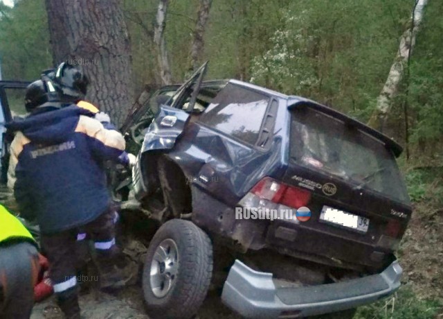 В Калининградской области в ДТП погиб водитель внедорожника