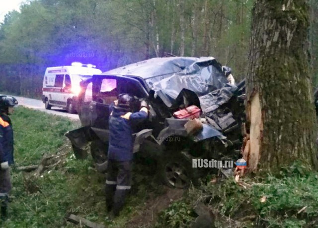 В Калининградской области в ДТП погиб водитель внедорожника