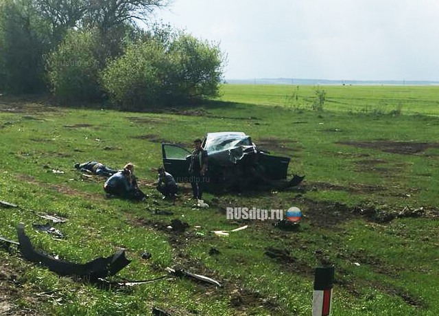 Два человека погибли в ДТП в Воронежской области