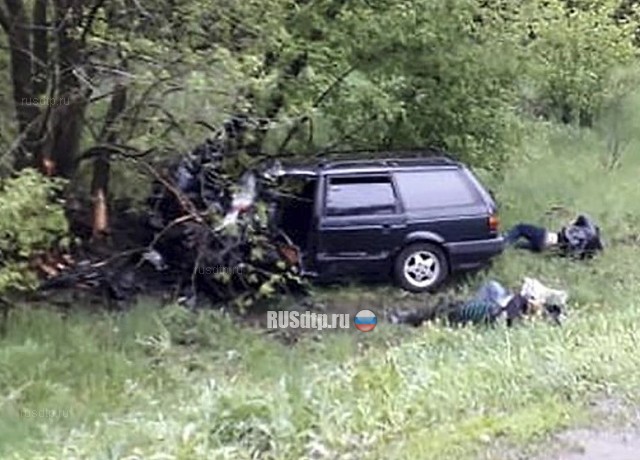 В Щигровском районе в ДТП погибли три человека