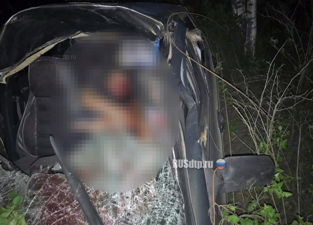 Водитель «Лады» сбил лося и погиб в ДТП на трассе М-5 «Урал»