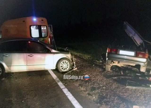 В Татарстане водитель иномарки «убил» в ДТП мать с сыном, спасая лося