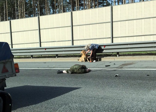 В Петербурге женщина насмерть сбила мужчину, менявшего колесо посреди КАД