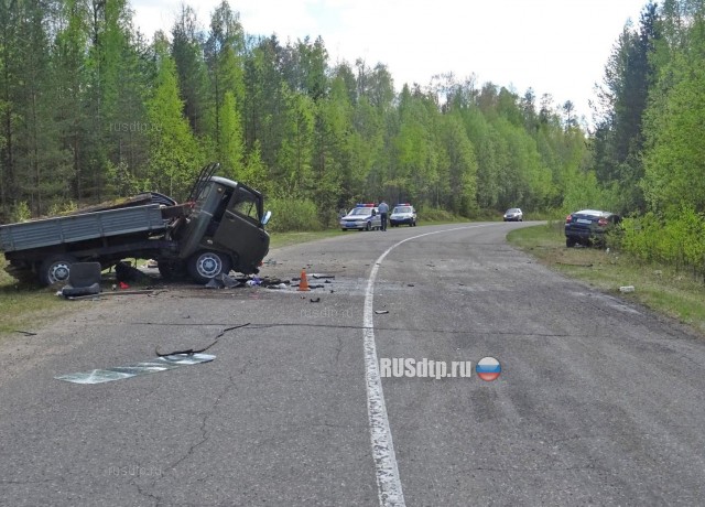 В Архангельской области в ДТП погибли водитель и пассажир «Гранты»
