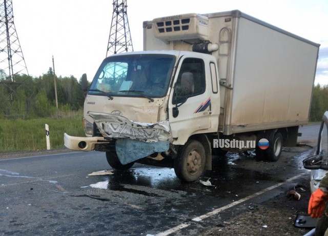 Уснувший водитель грузовика совершил смертельное ДТП в Удмуртии