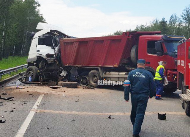 Водитель тягача погиб в ДТП на трассе М-7 во Владимирской области