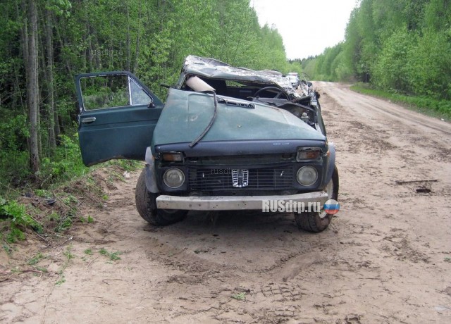 В Шенкурском районе лишенный прав пьяный водитель совершил смертельное ДТП
