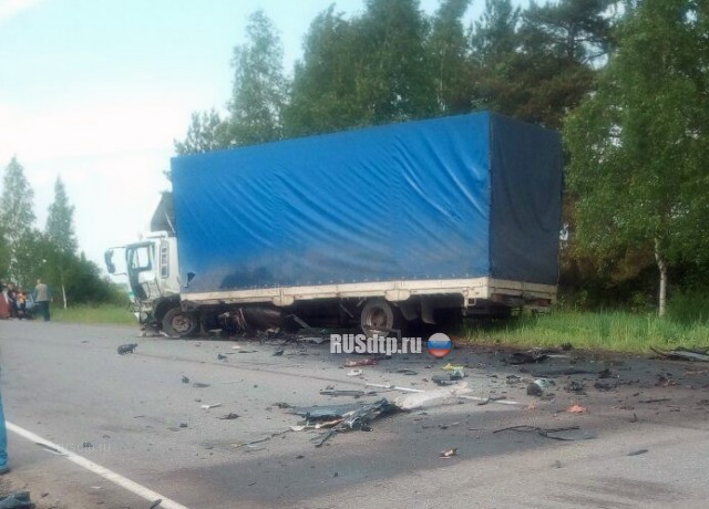 В Старорусском районе в ДТП погиб 27-летний водитель