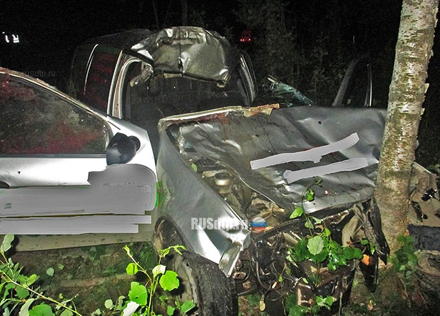 Один человек погиб при наезде автомобиля на лося под Костромой