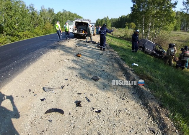Под Челябинском водитель грузовика отвлекся от управления и совершил смертельное ДТП