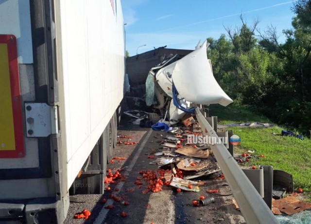 Двое погибли в крупном ДТП с участием большегрузов в Воронежской области