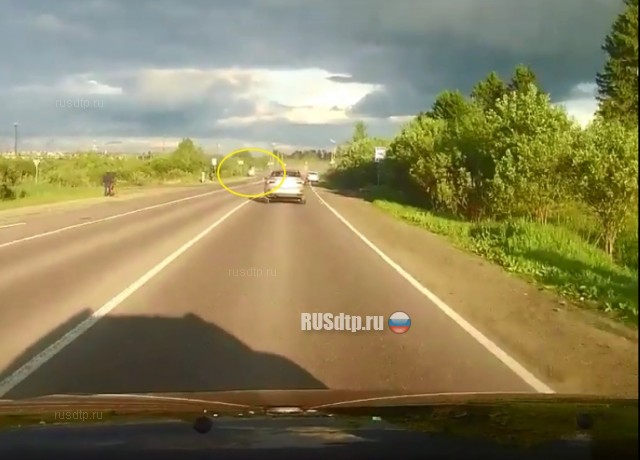 Опель и Приора столкнулись в Вологодской области