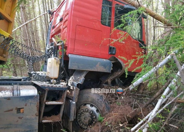 Мужчина и женщина погибли под встречным лесовозом в Иркутской области
