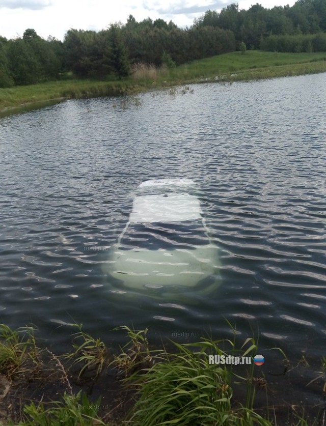 В Ленобласти женщина утопила каршеринговый автомобиль в пруду