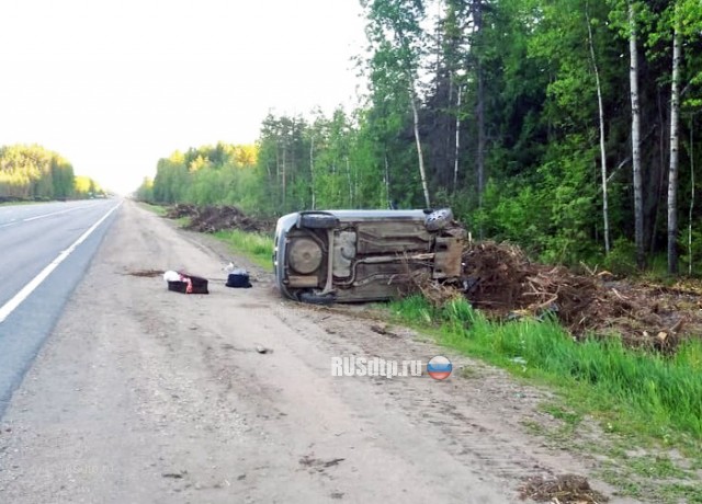 В Тверской области водитель  погиб, сбив лося
