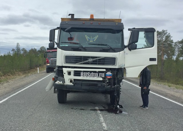 Водитель «Нивы» погиб в ДТП на трассе Сургут – Салехард