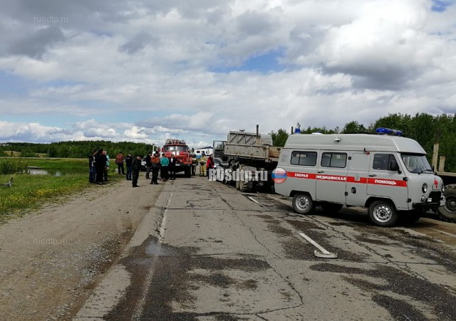 Водитель и пассажир «Форда» погибли в ДТП под Томском