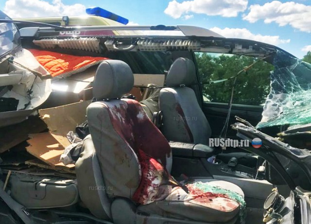 Женщина погибла в ДТП на трассе М-4 «Дон» возле города Каменск-Шахтинский