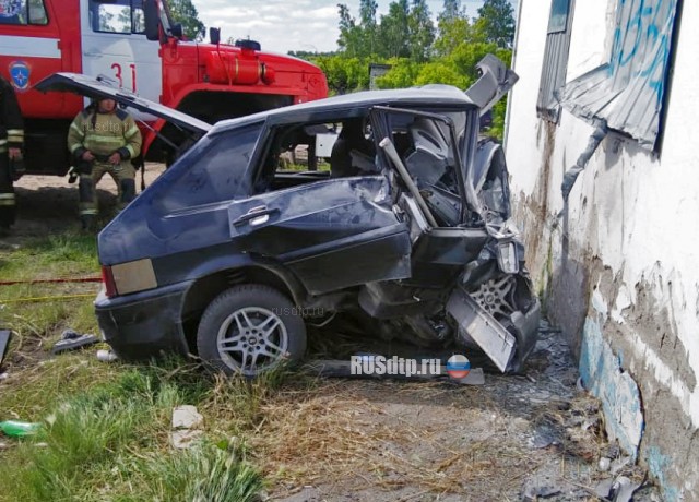 Под Омском водитель погиб, врезавшись в пост ДПС