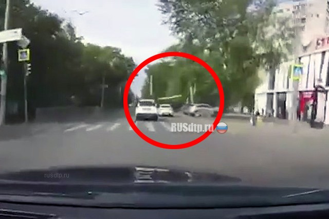 В Екатеринбурге на автомобиль упало дерево. ВИДЕО