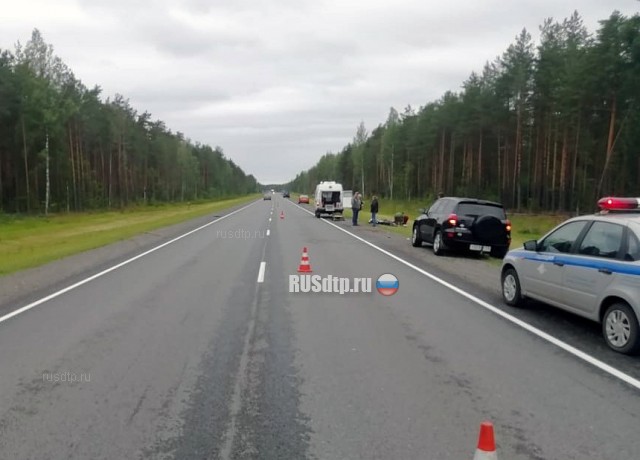 Пожилой водитель мопеда погиб в ДТП в Устюженском районе