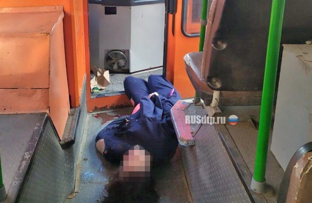 В Саратове сбитая лихачом женщина влетела в окно троллейбуса. ВИДЕО