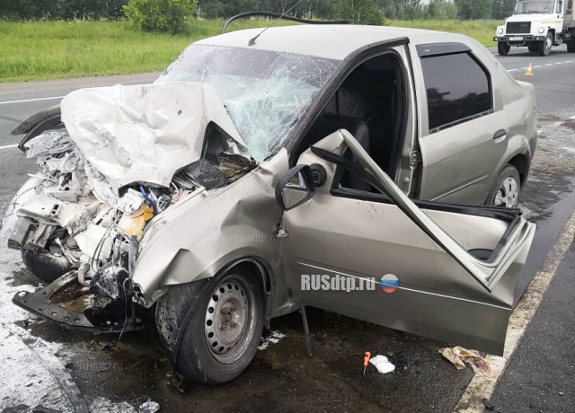 Двое погибли и 12 человек пострадали в ДТП на трассе Челябинск – Новосибирск
