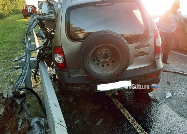 Двое мужчин погибли в ДТП на трассе М-5 в Рязанской области