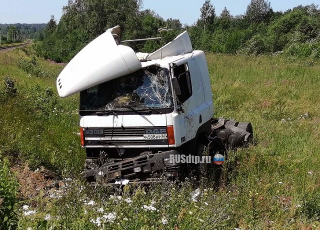 Двое погибли при столкновении тепловоза и грузовика в Псковской области