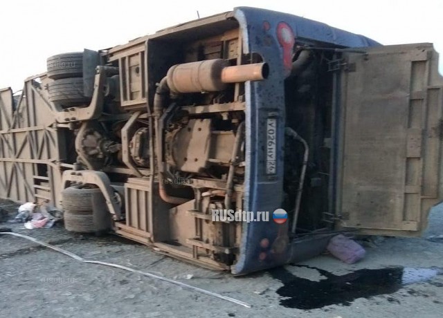5 человек погибли в ДТП с участием автобуса и грузовика на Ставрополье
