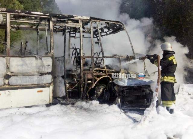 Во Владимирской области в результате ДТП сгорел рейсовый автобус
