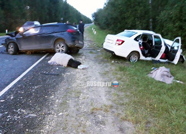 Две женщины погибли в ДТП в Нижегородской области
