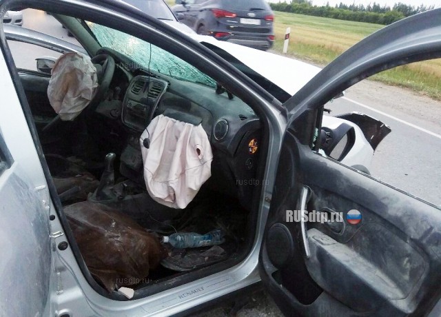 64-летний водитель погиб в ДТП на автодороге Омск — Русская Поляна