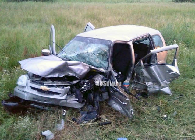 64-летний водитель погиб в ДТП на автодороге Омск — Русская Поляна