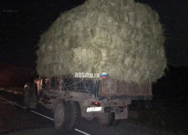 В Туве «Жигули» врезались в грузовик с сеном. Четверо погибли
