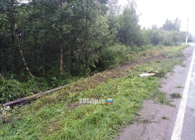 «Хонду» разорвало на части в результате ДТП в Череповце