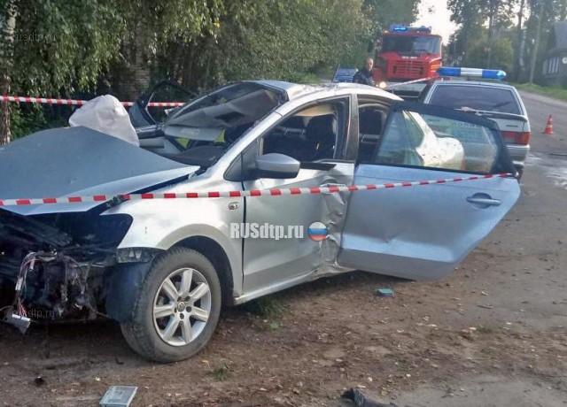 Двое погибли при столкновении автомобиля с деревом в Демянске