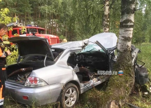 В Ярославле Mitsubishi врезался в дерево: погиб пассажир