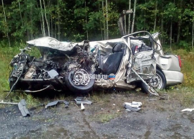 Водитель Hyundai погиб в ДТП на трассе Чебоксары — Сыктывкар