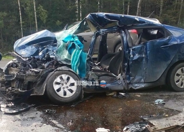 Женщина погибла в ДТП с автобусом на трассе Пермь — Екатеринбург