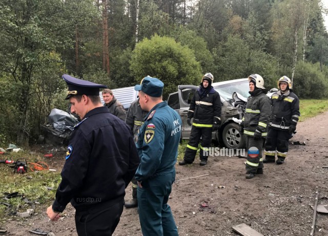 Два человека погибли в ДТП на трассе Санкт-Петербург — Псков